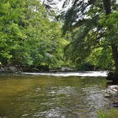 Review photo of Wolf Campground by Myron C., June 29, 2019