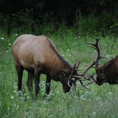 Review photo of Wolf Campground by Myron C., June 29, 2019