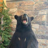 Review photo of Sinnemahoning State Park Campground by Paula L., June 29, 2019