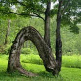 Review photo of Sinnemahoning State Park Campground by Paula L., June 29, 2019