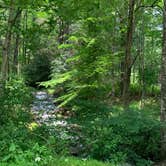 Review photo of Sinnemahoning State Park Campground by Paula L., June 29, 2019