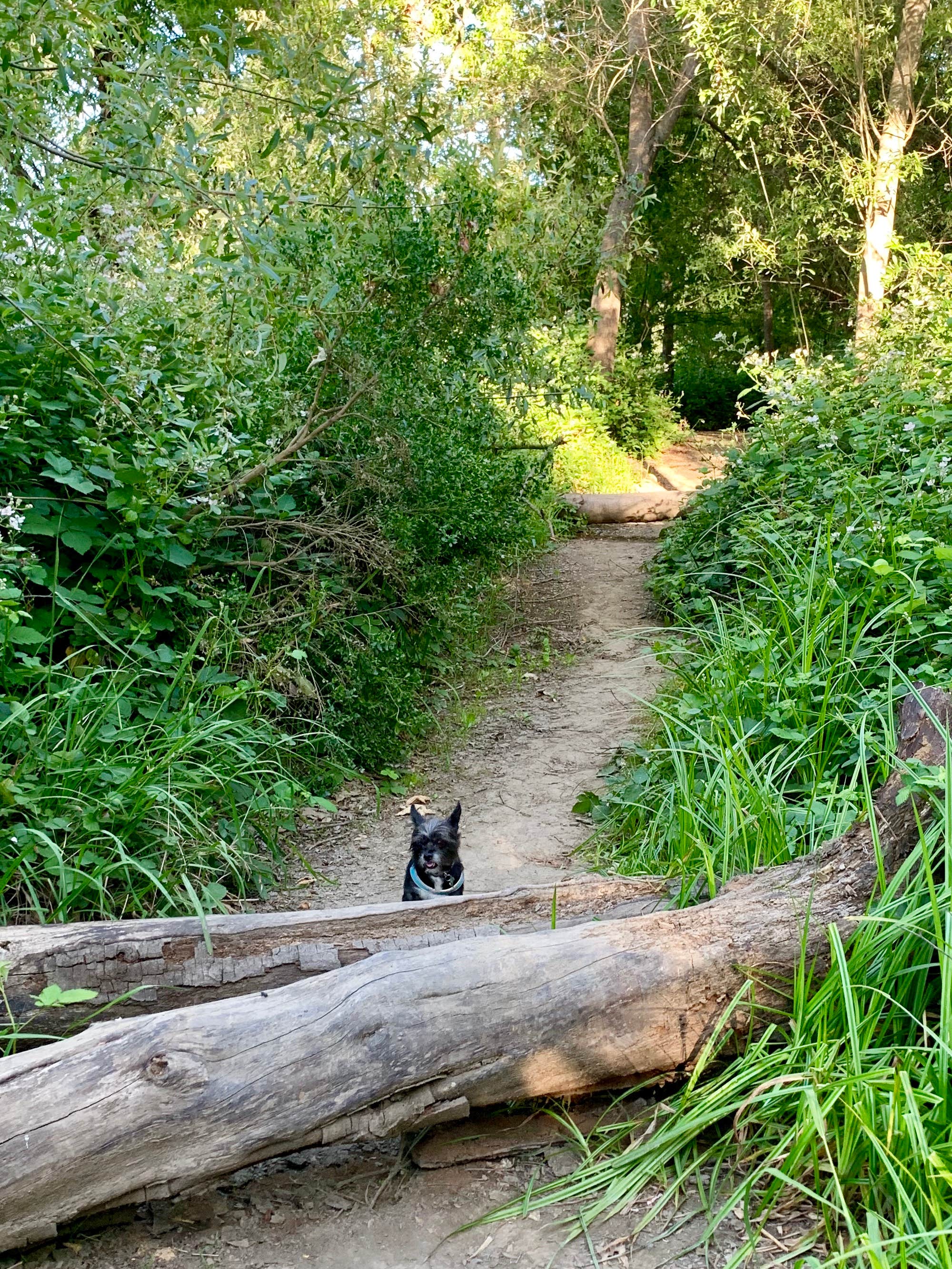Camper submitted image from Spring Lake Regional Park - 2