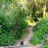Review photo of Spring Lake Regional Park by Tammy B., June 29, 2019
