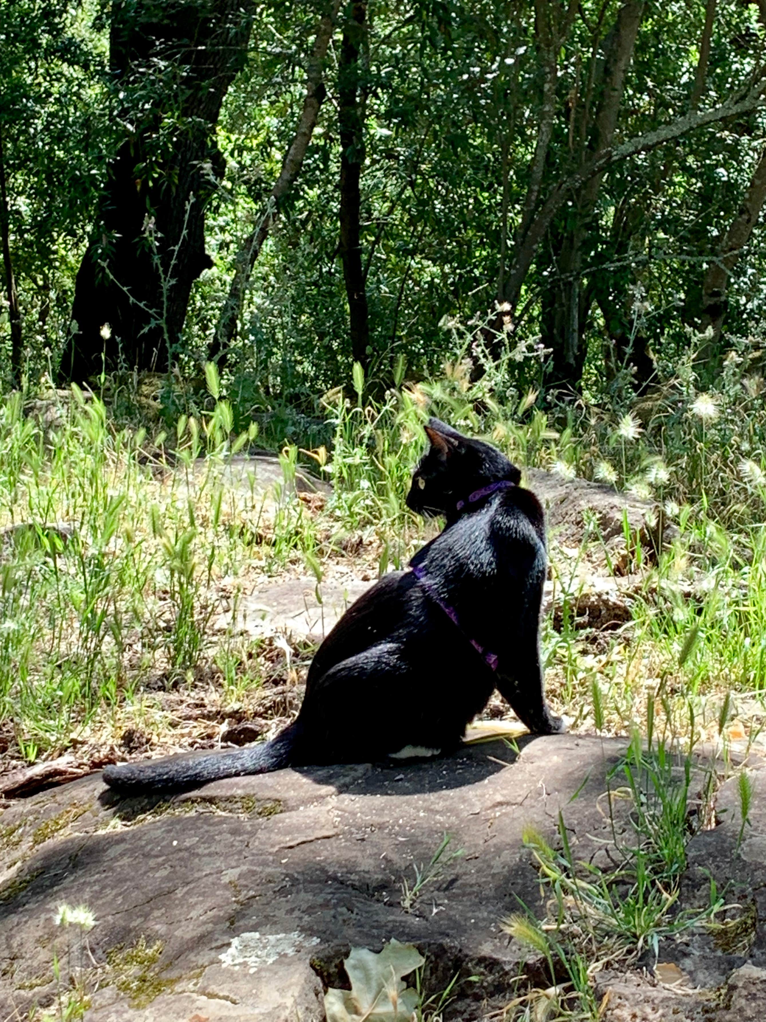 Nature