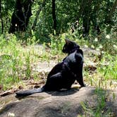 Review photo of Spring Lake Regional Park by Tammy B., June 29, 2019