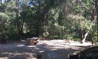Camping near New Brighton State Beach: Henry Cowell Redwoods State Park Campground, Mount Hermon, California