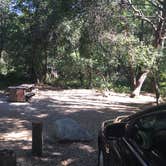 Review photo of Henry Cowell Redwoods State Park Campground by Jen U., June 29, 2019