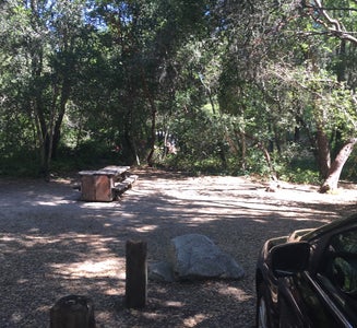 Camper-submitted photo from Henry Cowell Redwoods State Park