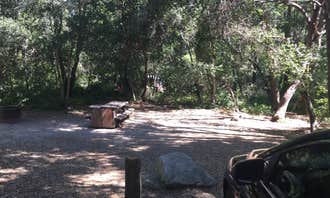 Camping near Santa Cruz Harbor: Henry Cowell Redwoods State Park Campground, Mount Hermon, California