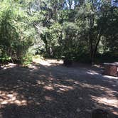 Review photo of Henry Cowell Redwoods State Park Campground by Jen U., June 29, 2019