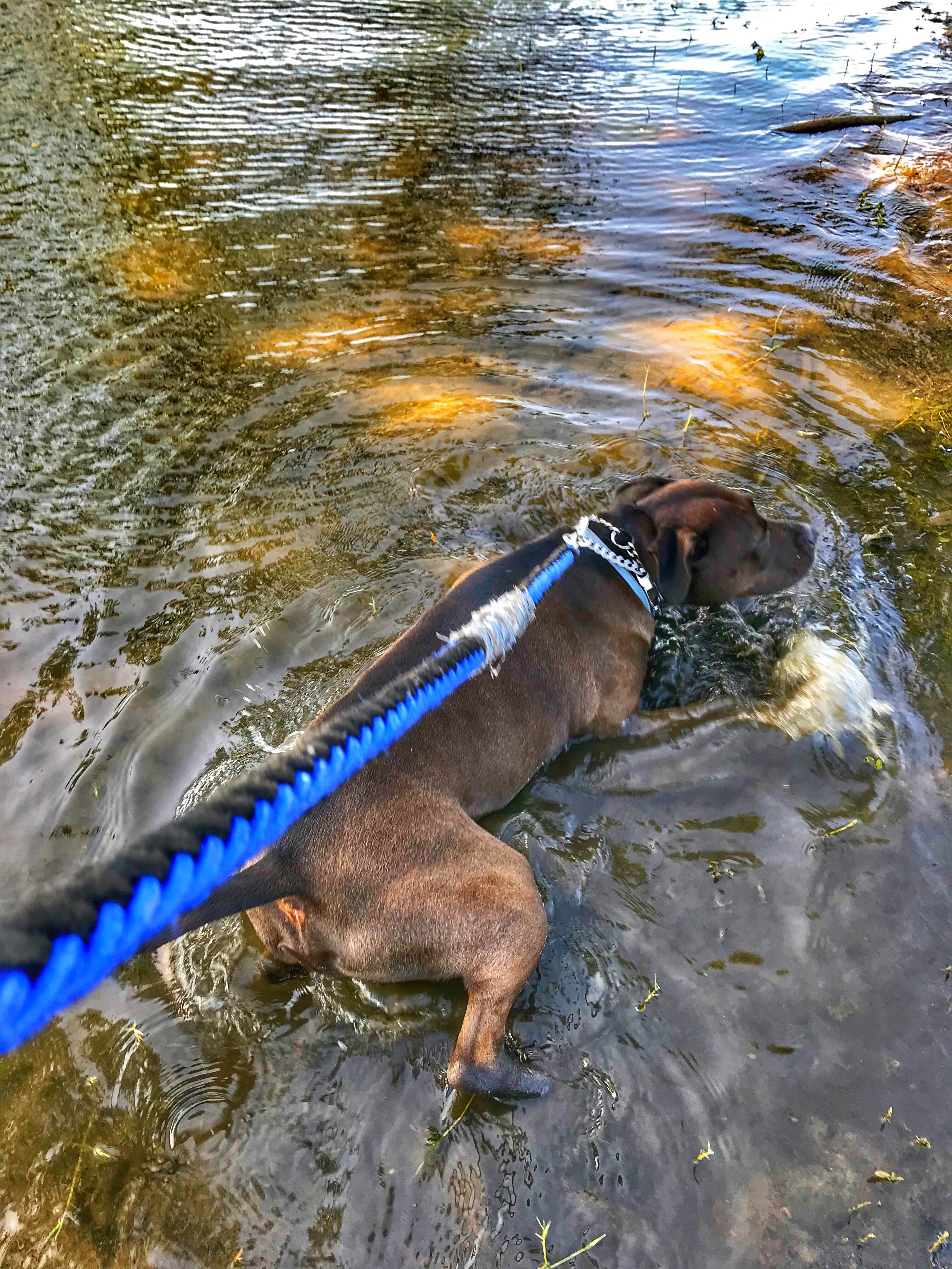 Camper-submitted photo at Lake Texoma RV Resort, LLC near Telephone, TX