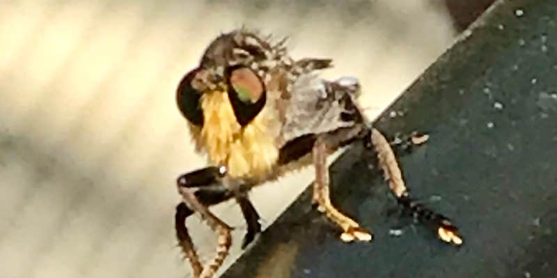 Camper submitted image from Lake Texoma RV Resort, LLC