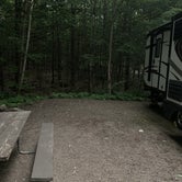 Review photo of Meredith Woods Four Season Camping by Chris H., June 29, 2019
