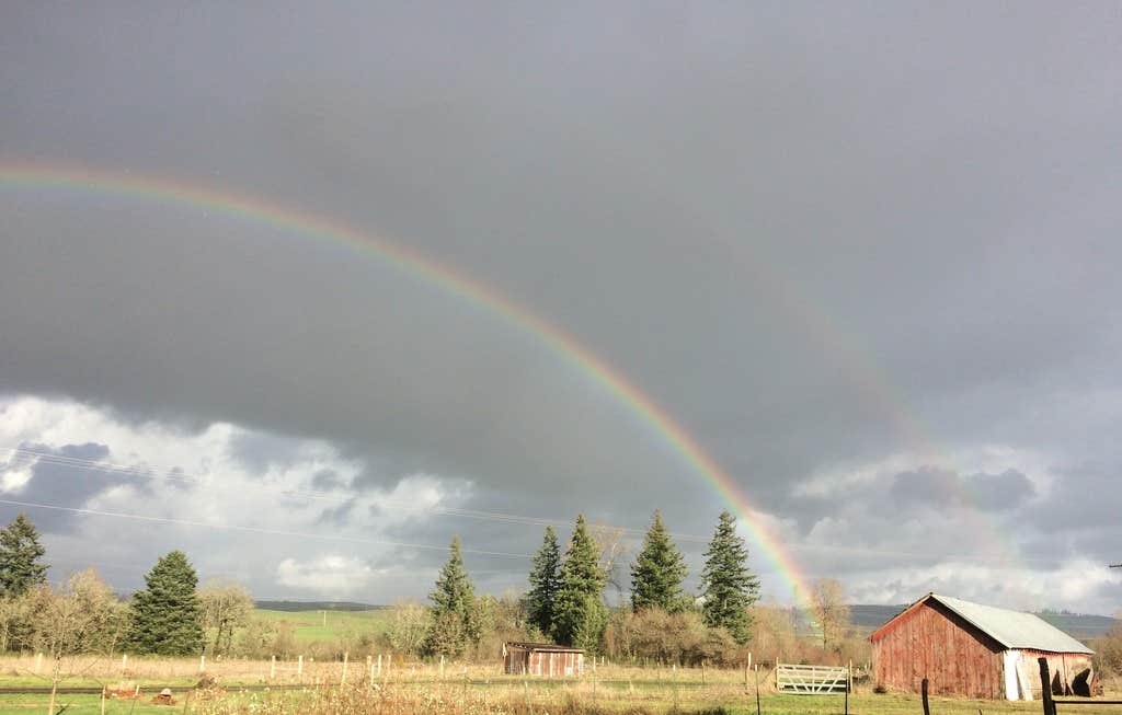 Camper-submitted photo at Sublime Organics Farm- Not accepting reservations near Sublimity, OR