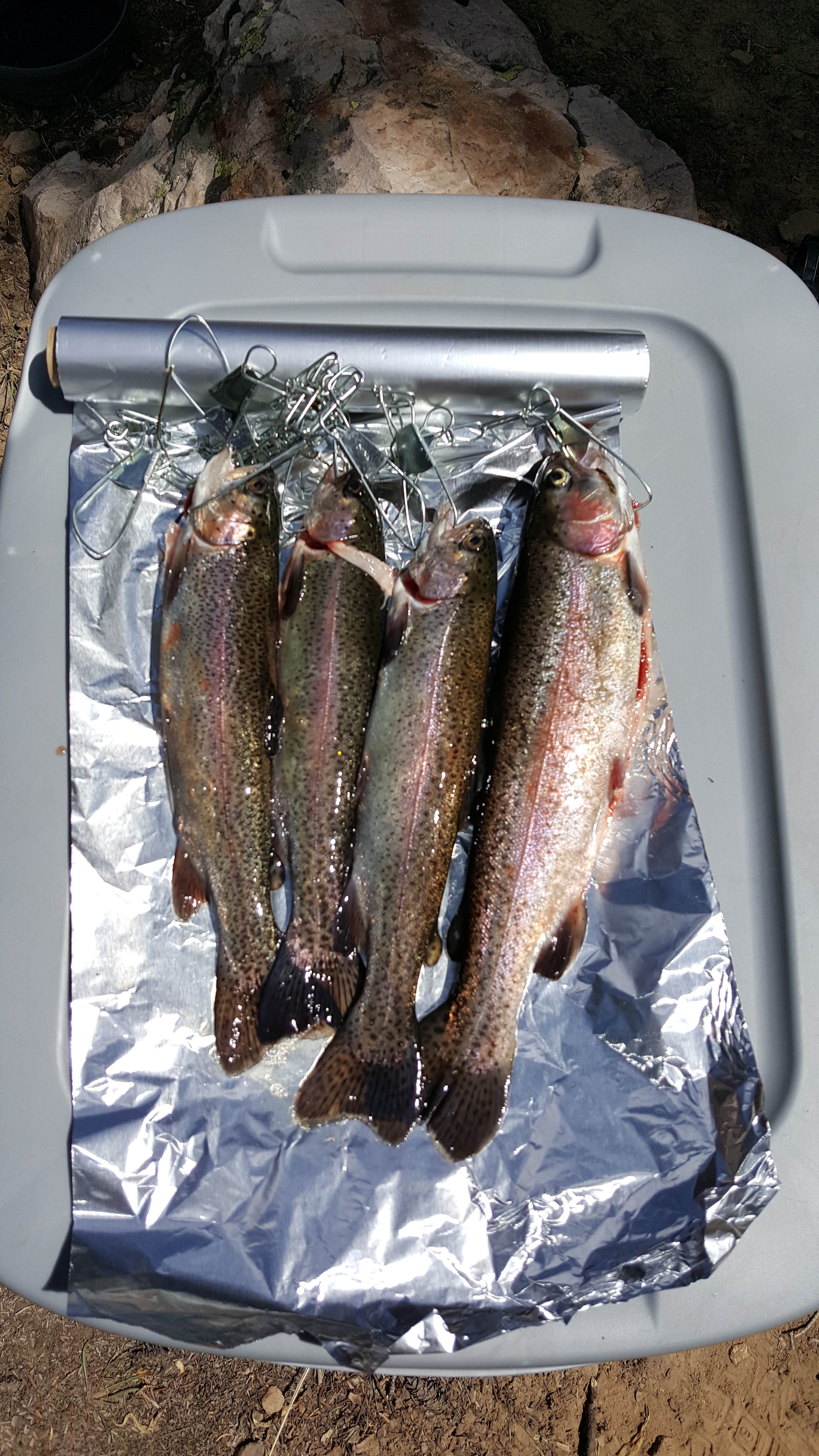 Camping near Whitney Reservoir: Butterfly Campground — Uinta Wasatch Cache National Forest, Oakley, Utah