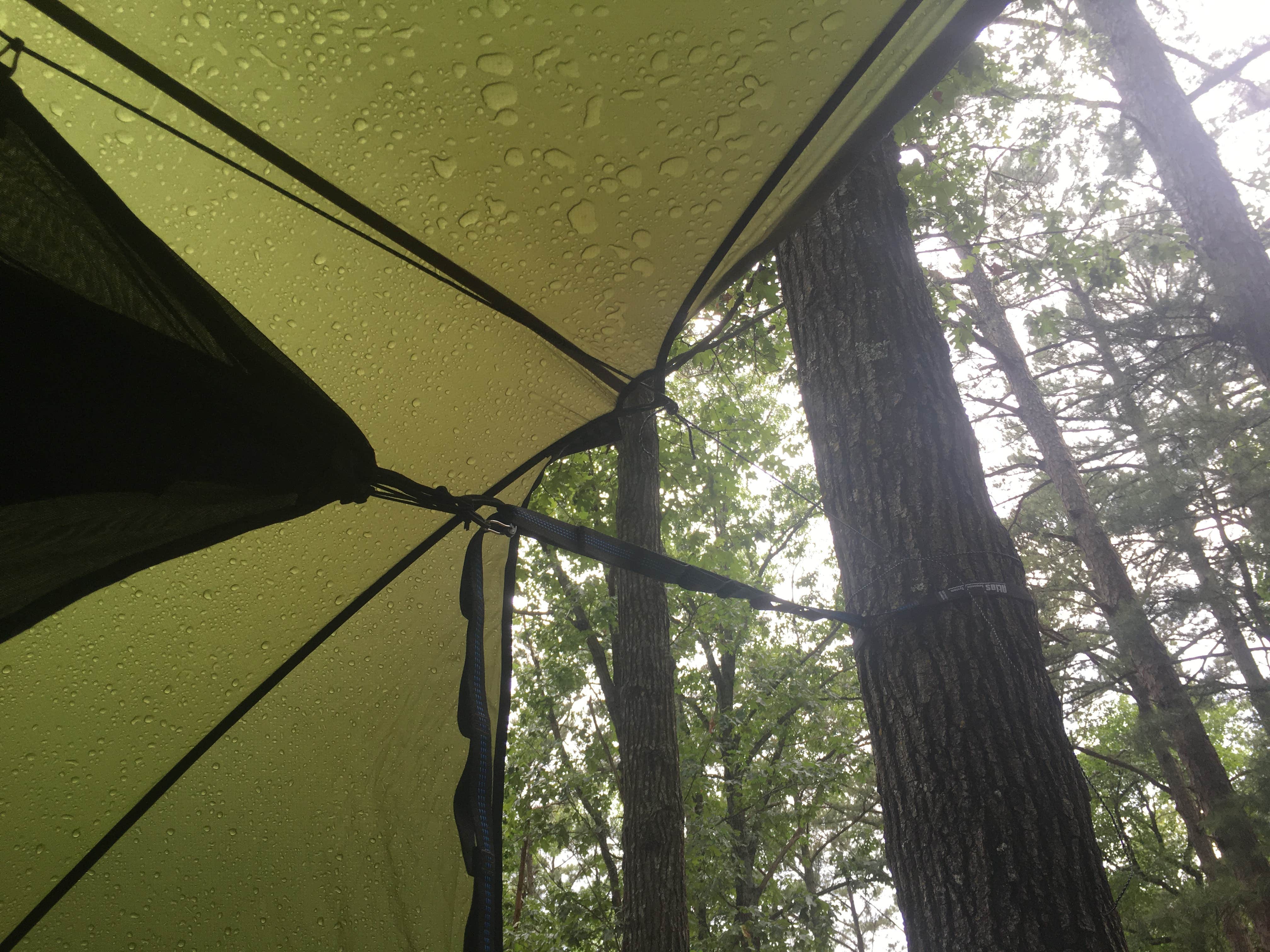 Camper submitted image from Starkey Campground - 5