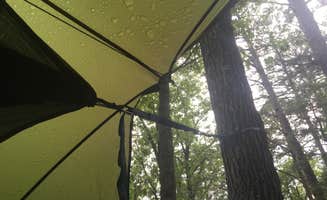 Kelly C.'s photo at Starkey Campground near Beaver Lake