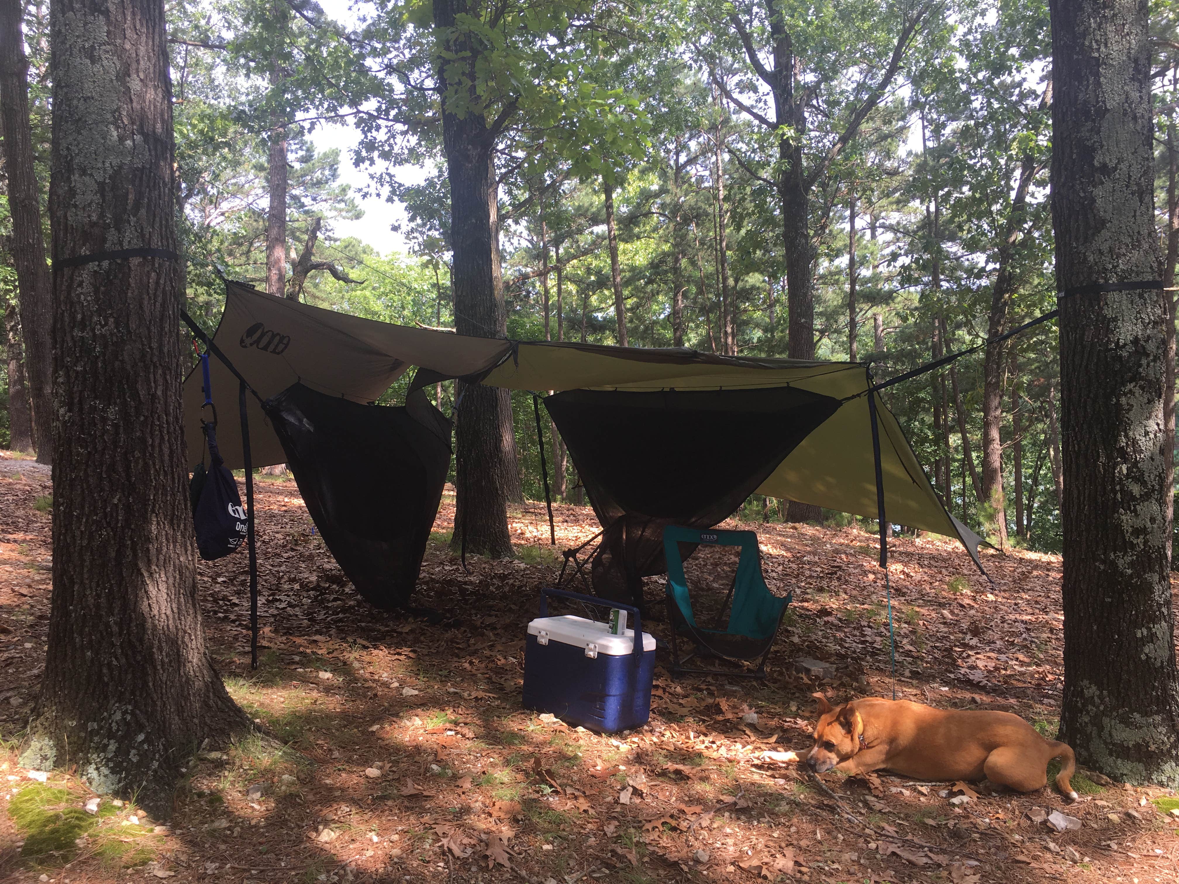 Kelly C.'s photo at Starkey Campground near Beaver Lake