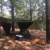 Review photo of Starkey Campground by Kelly C., June 29, 2019