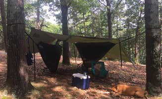 Kelly C.'s photo at Starkey Campground near Beaver Lake