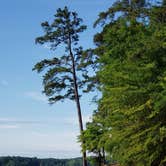 Review photo of Occoneechee State Park Campground by Steve W., June 28, 2019