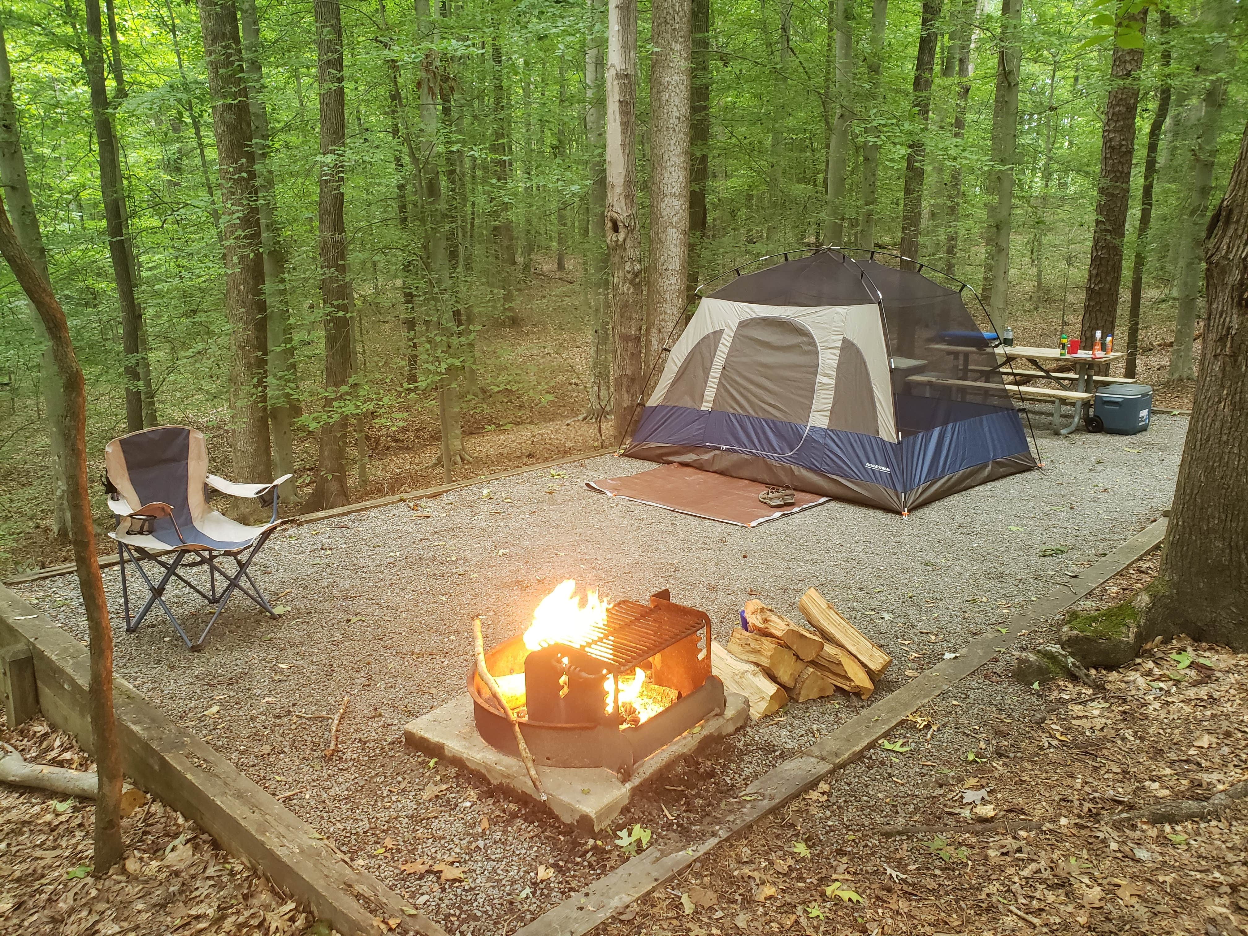 Steve W.'s photo at Occoneechee State Park Campground near Randolph, VA