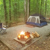 Review photo of Occoneechee State Park Campground by Steve W., June 28, 2019