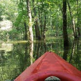 Review photo of Occoneechee State Park Campground by Steve W., June 28, 2019