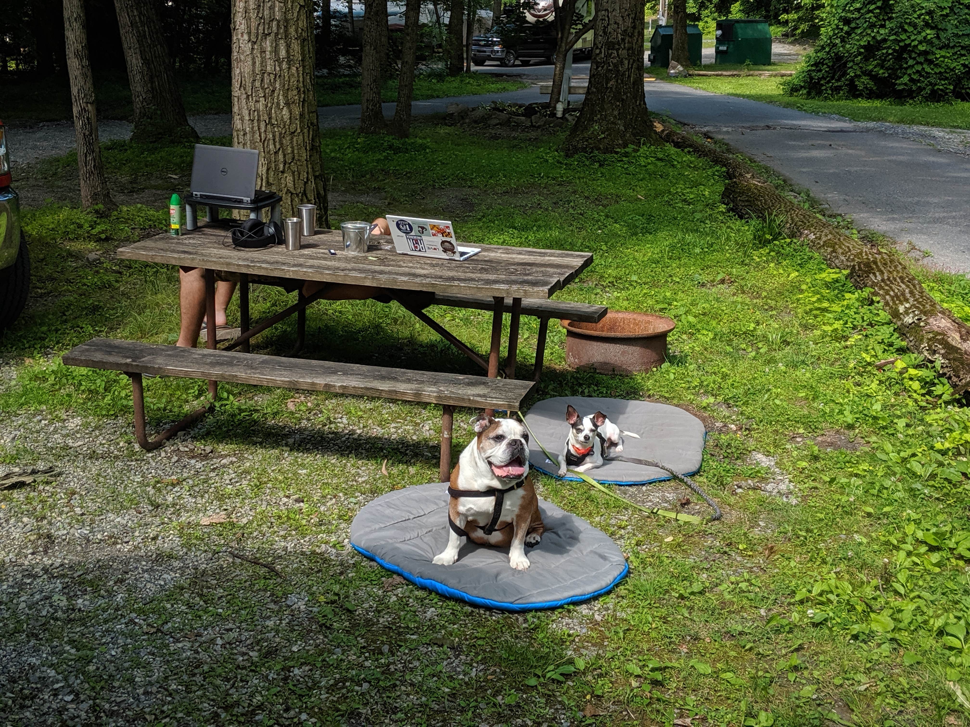 Sammii D.'s photo of camping with pets at Thousand Trails PA Dutch Country near Ephrata, PA
