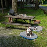 Review photo of Thousand Trails PA Dutch Country by Sammii D., June 24, 2019