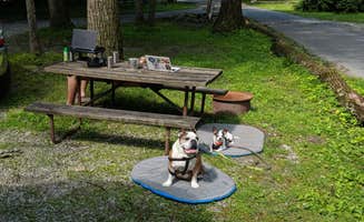 Sammii D.'s photo of camping with pets at Thousand Trails PA Dutch Country near Harrisburg, PA