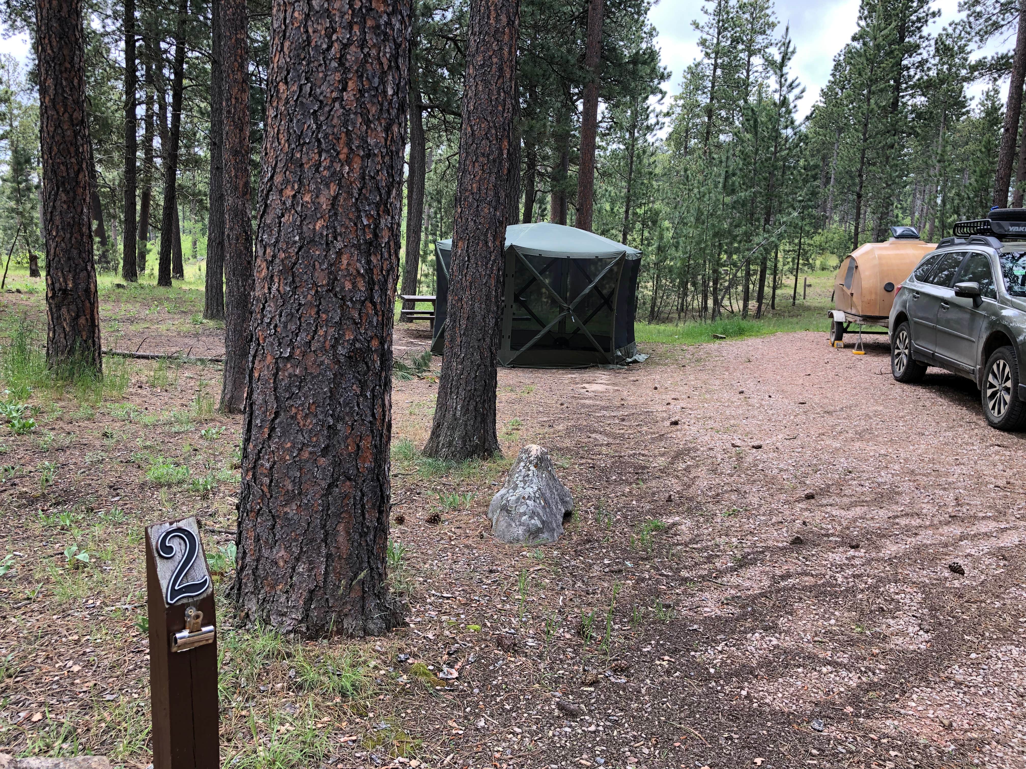 Camper submitted image from Bearlodge Campground - 5