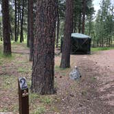 Review photo of Bearlodge Campground by Art S., June 29, 2019