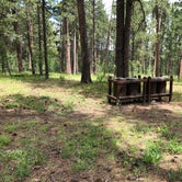 Review photo of Bearlodge Campground by Art S., June 29, 2019