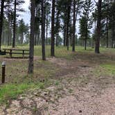 Review photo of Bearlodge Campground by Art S., June 29, 2019