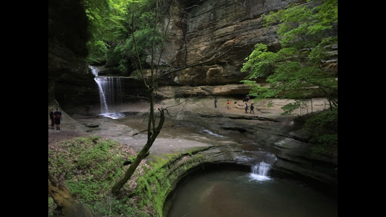 View All