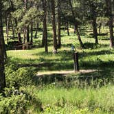 Review photo of Reuter Campground by Art S., June 29, 2019