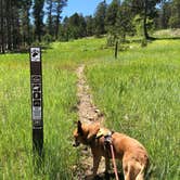 Review photo of Reuter Campground by Art S., June 29, 2019