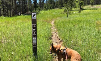 Art S.'s photo of camping with pets at Reuter Campground near Devils Tower National Monument