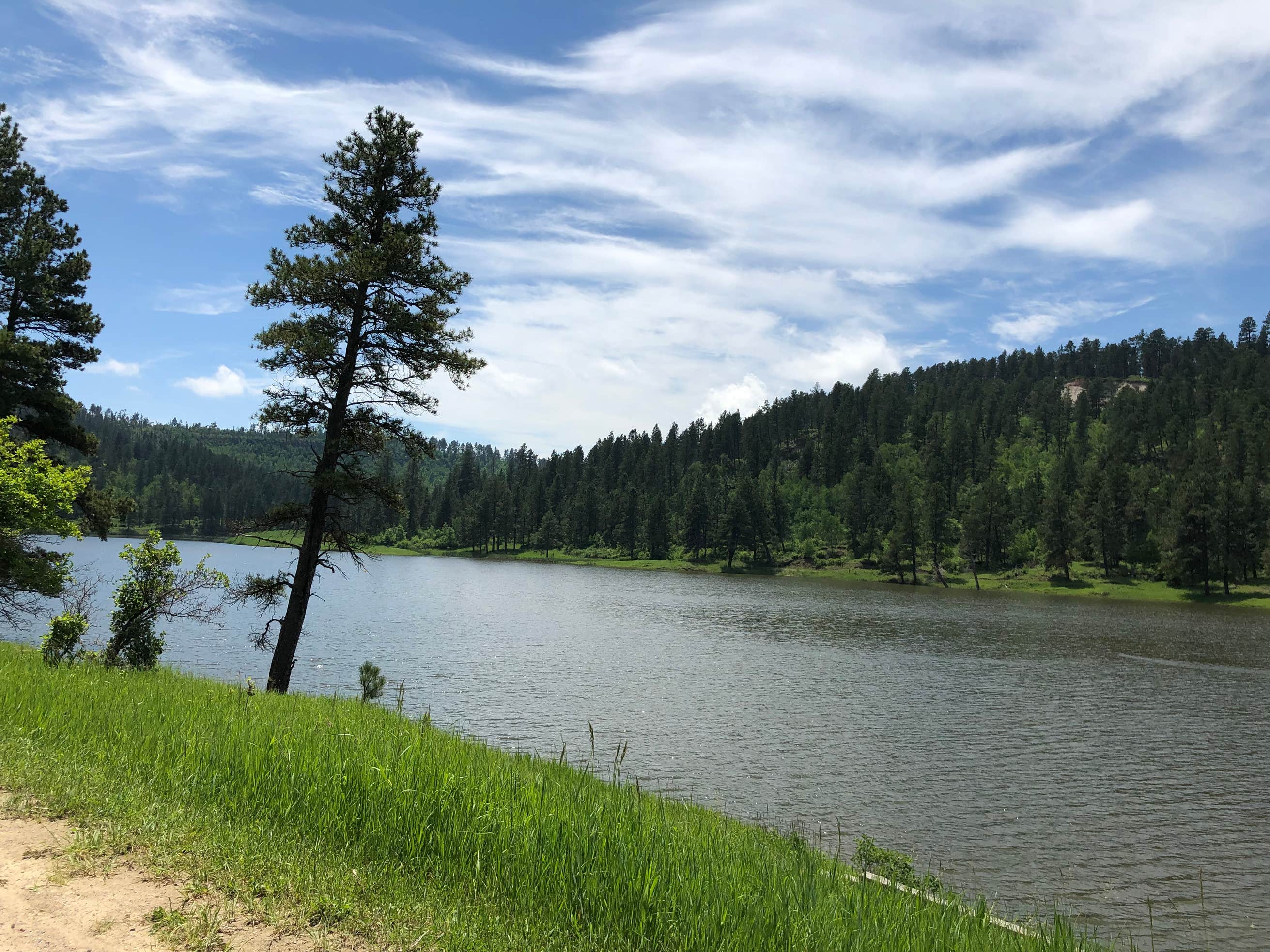 Cook Lake Rec Area Camping The Dyrt