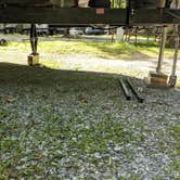 Review photo of Thousand Trails PA Dutch Country by Sammii D., June 24, 2019