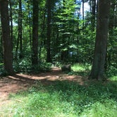Review photo of French Creek State Park Campground by Charlotte T., June 29, 2019