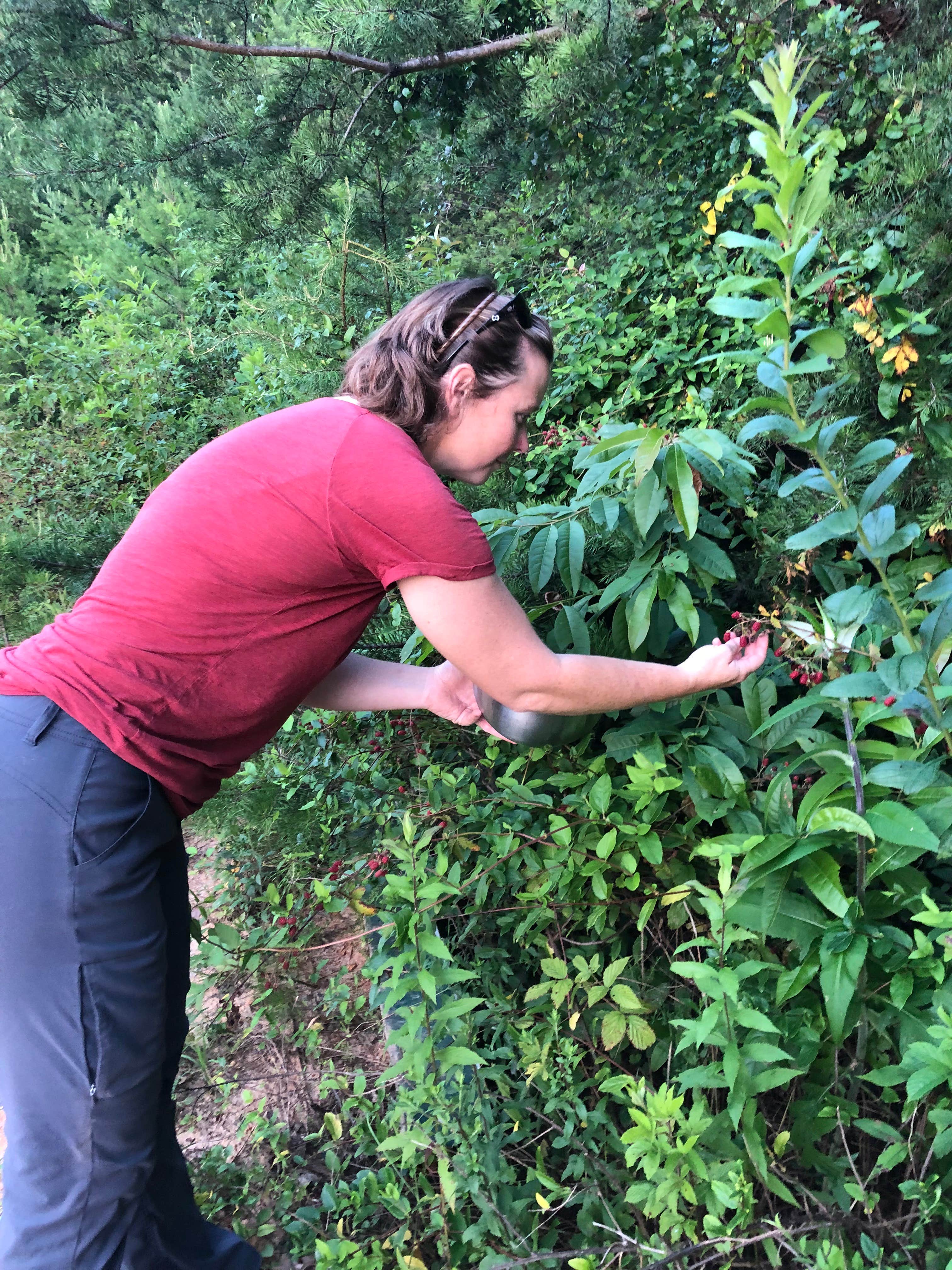 Camper-submitted photo at Charming Tree House in the Forest near Mineral Bluff, GA