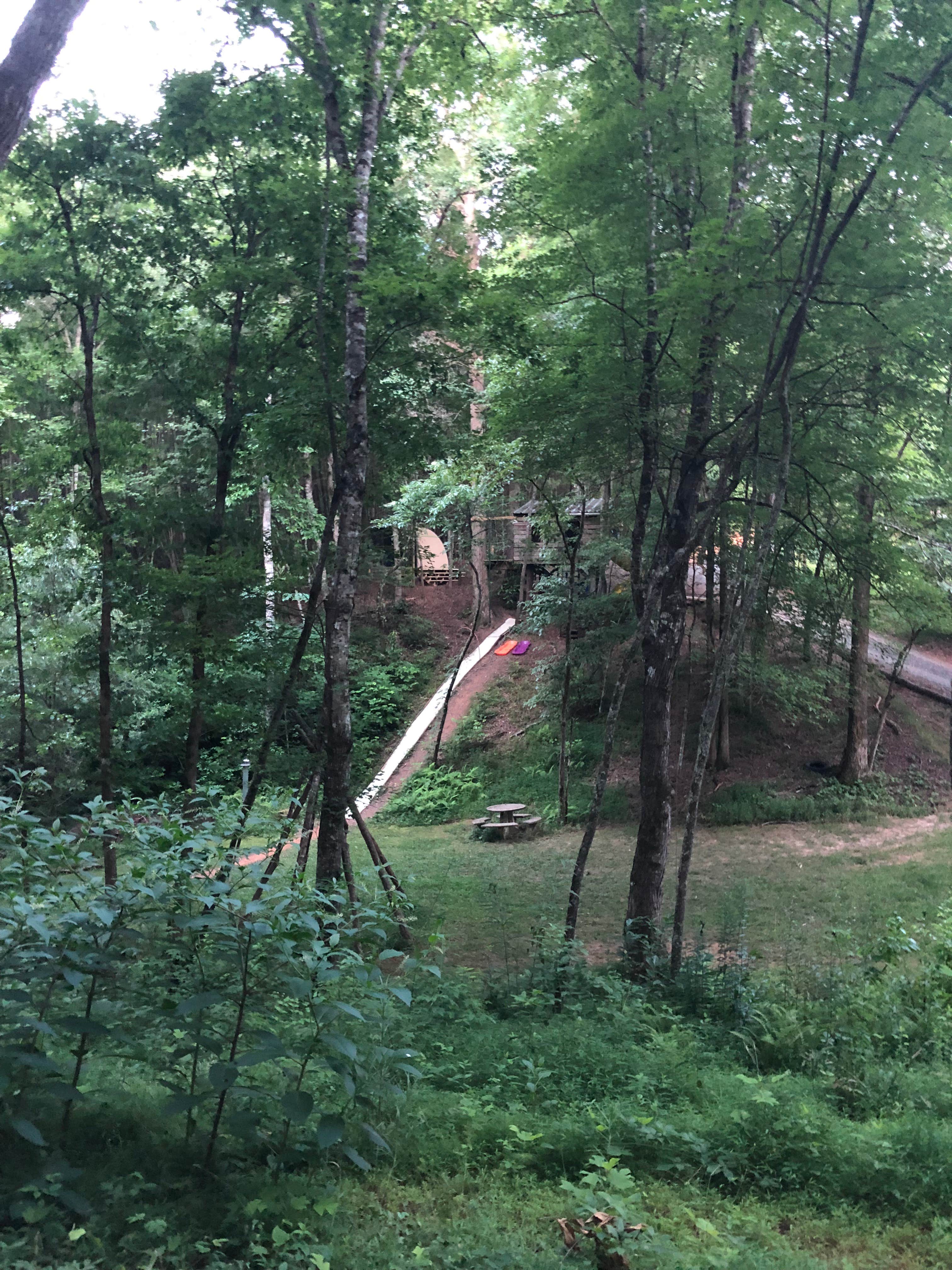 The view of the treehouse and sled slide coming back down the hill with berries.