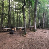 Review photo of Charming Tree House in the Forest by Erin S., June 29, 2019