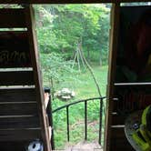 Review photo of Charming Tree House in the Forest by Erin S., June 29, 2019