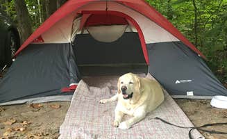 Jessie W.'s photo at Turkey Run State Park Campground near Homer, IL