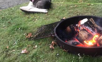 Shariah T.'s photo of camping with pets at Astoria-Warrenton-Seaside KOA near Astoria, OR