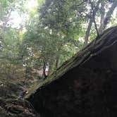 Review photo of Turkey Run State Park Campground — Turkey Run State Park by Jessie W., November 3, 2018
