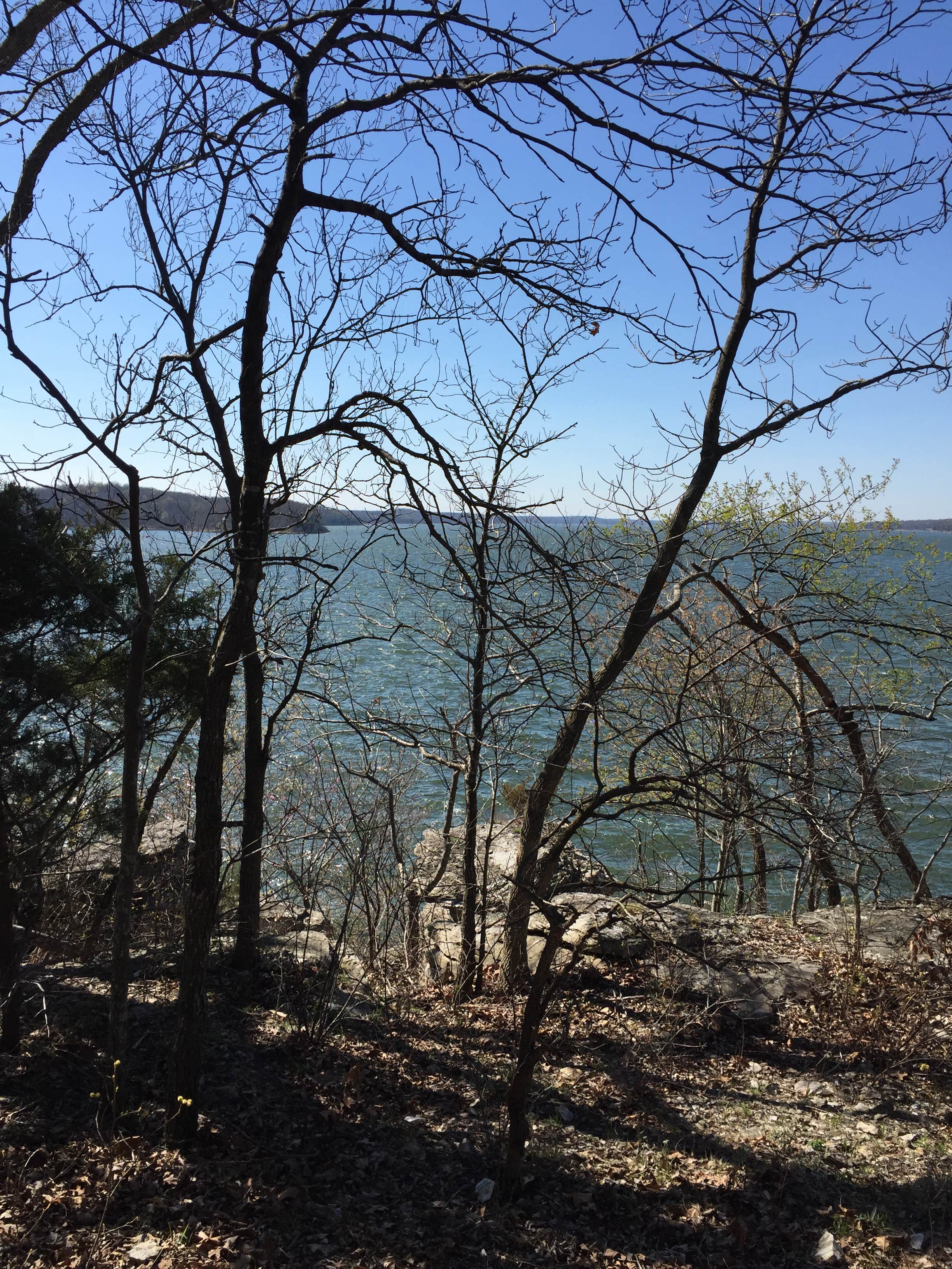 Camper-submitted photo at Lake of the Ozarks State Park Campground in Missouri